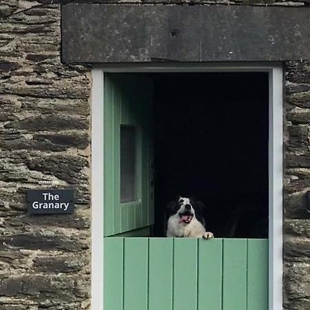 Dog Friendly Cottage, Geufron Farm Near Tywyn Bryn-crug Dış mekan fotoğraf