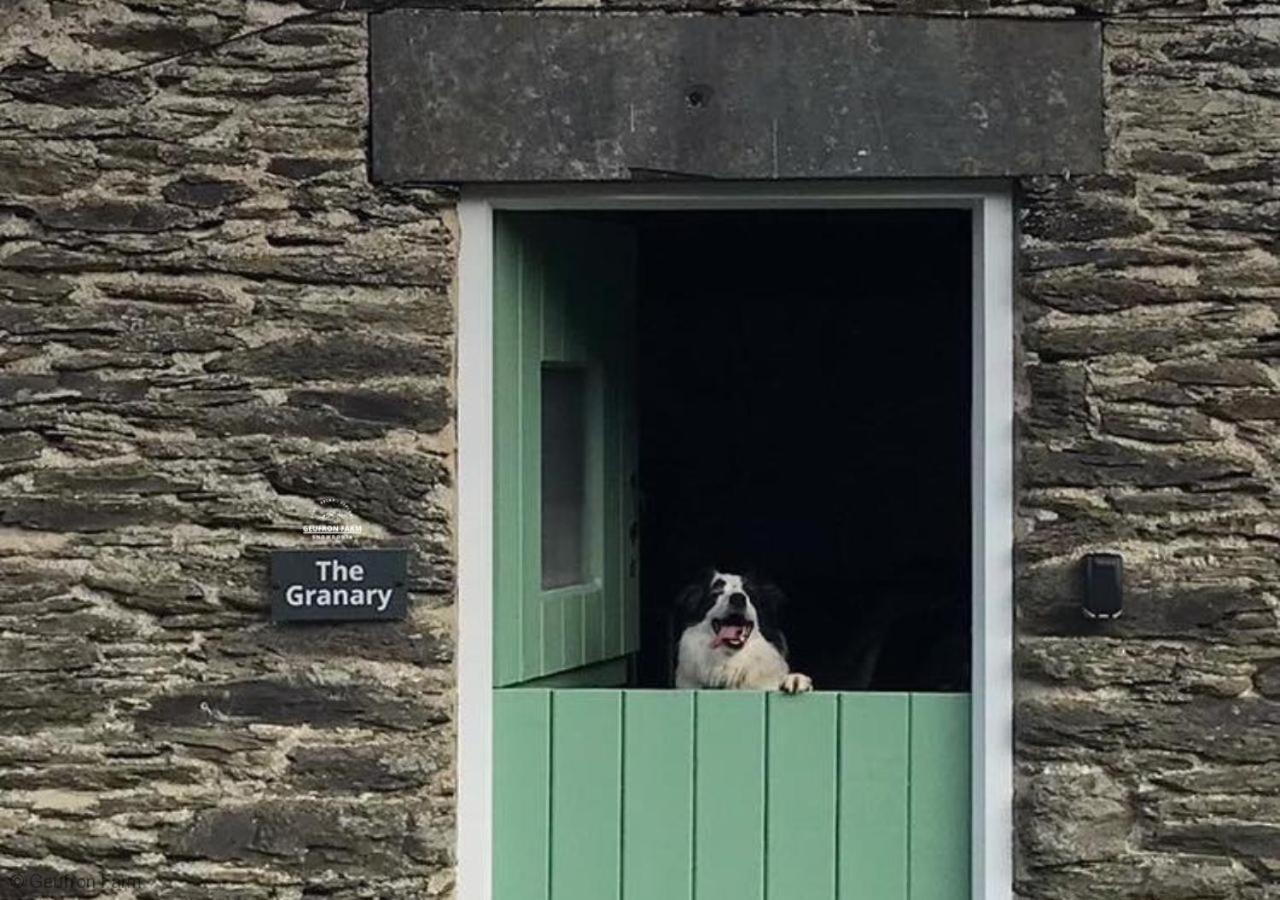 Dog Friendly Cottage, Geufron Farm Near Tywyn Bryn-crug Dış mekan fotoğraf