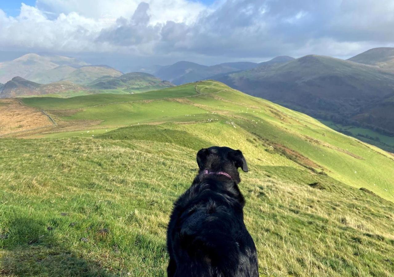 Dog Friendly Cottage, Geufron Farm Near Tywyn Bryn-crug Dış mekan fotoğraf