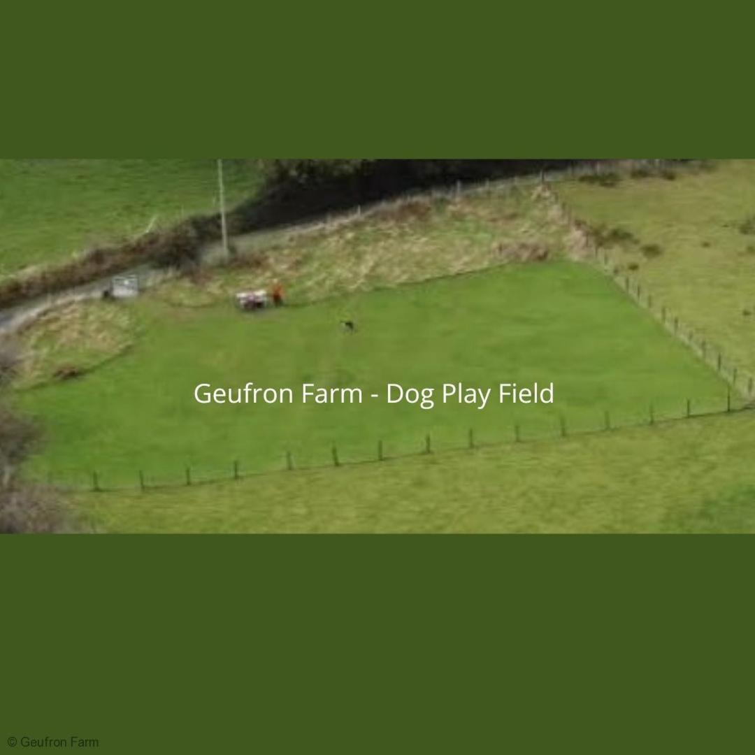 Dog Friendly Cottage, Geufron Farm Near Tywyn Bryn-crug Dış mekan fotoğraf